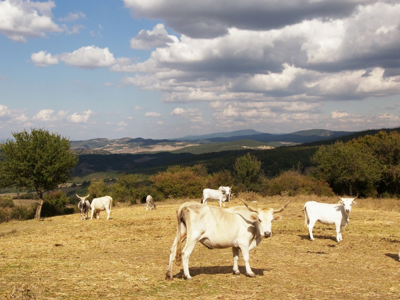 Gita fotografica sulla Tolfa